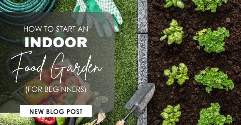 How to Start an Indoor Food Garden (for Beginners)